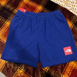 North face men’s shorts